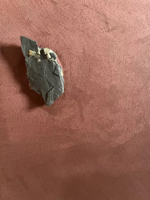 Fugenloser Wandbelag - Peter Farbwerk